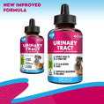 Load image into Gallery viewer, Cat & Dog Cranberry Urinary Tract & Bladder Support Supplement - Urinary Wellness Drops