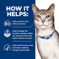 Load image into Gallery viewer, K/D Kidney Care Ocean Fish Dry Cat Food, Veterinary Diet, 4 Lb. Bag