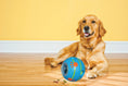 Load image into Gallery viewer, Wobble Wag Giggle Treat Ball, Interactive Dog Toy & Treat Dispenser, Blue