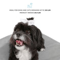 Load image into Gallery viewer, Winston Small Elevated Wooden Pet Bed with Plush Mattress, White