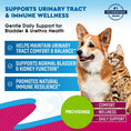 Load image into Gallery viewer, Cat & Dog Cranberry Urinary Tract & Bladder Support Supplement - Urinary Wellness Drops