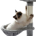 Load image into Gallery viewer, 56" Cat Tree for Indoor Cats Cat Condos for Adult Cats with Padded Plush Perch and Cozy Basket Cat Tower for Large Cats , Gray
