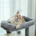 Load image into Gallery viewer, 56" Cat Tree for Indoor Cats Cat Condos for Adult Cats with Padded Plush Perch and Cozy Basket Cat Tower for Large Cats , Gray
