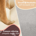 Load image into Gallery viewer, Orthopedic Dog Bed Lounge Sofa Removable Cover 100% Suede Mattress Memory-Foam with Bolster Rim Premium Prestige Edition
