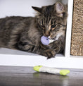 Load image into Gallery viewer, (3 Count) Fish Flop Crinkle Catnip Cat Toys - Multi Color, 3 Count
