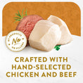 Load image into Gallery viewer, Purina  Appetizers Adult Gourmet Wet Cat Food Complement
