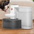 Load image into Gallery viewer, Smart Wireless Fountain – 3L Automatic Water Dispenser for Cats & Small Pets
