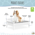 Load image into Gallery viewer, Winston Small Elevated Wooden Pet Bed with Plush Mattress, White
